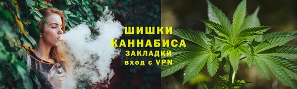 дживик Верхний Тагил